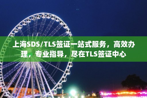 上海SDS/TLS签证一站式服务，高效办理，专业指导，尽在TLS签证中心