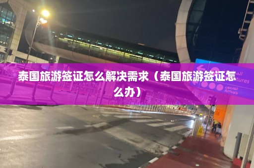 泰国旅游签证怎么解决需求（泰国旅游签证怎么办）