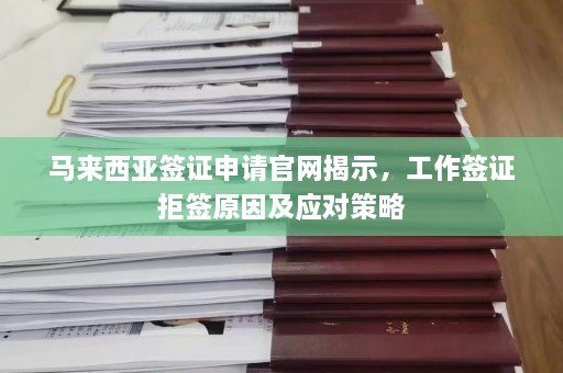 马来西亚签证申请官网揭示，工作签证拒签原因及应对策略