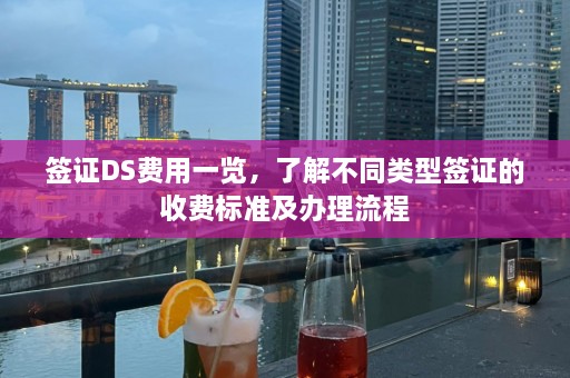 签证DS费用一览，了解不同类型签证的收费标准及办理流程