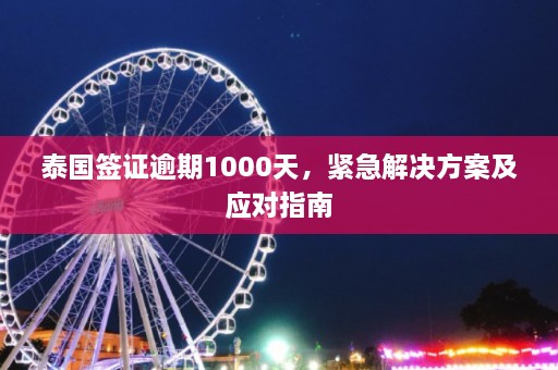 泰国签证逾期1000天，紧急解决方案及应对指南