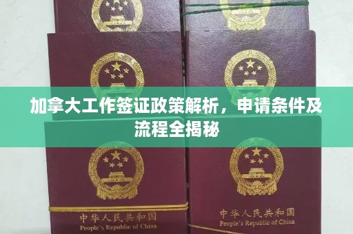 加拿大工作签证政策解析，申请条件及流程全揭秘