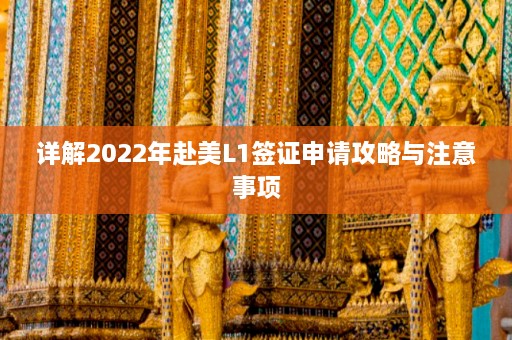 详解2022年赴美L1签证申请攻略与注意事项