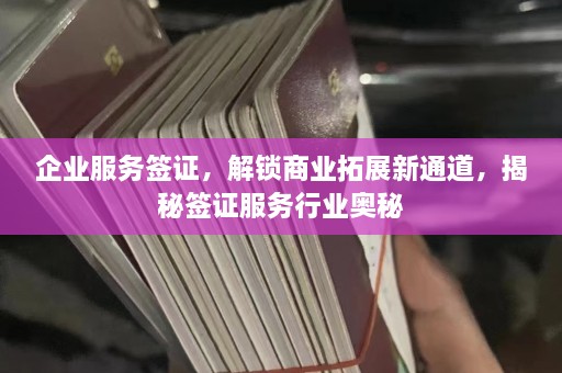 企业服务签证，解锁商业拓展新通道，揭秘签证服务行业奥秘