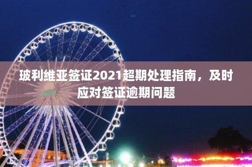 玻利维亚签证2021超期处理指南，及时应对签证逾期问题