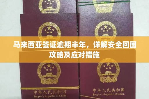 马来西亚签证逾期半年，详解安全回国攻略及应对措施