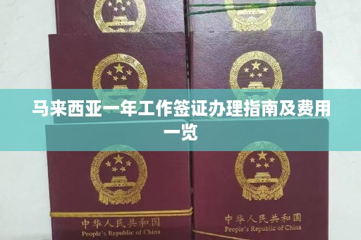 马来西亚一年工作签证办理指南及费用一览