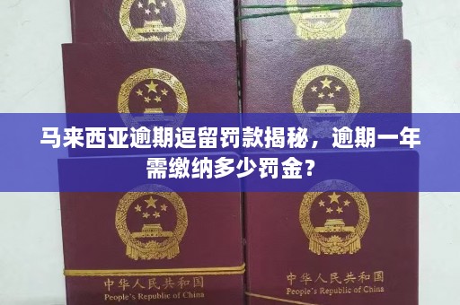 马来西亚逾期逗留罚款揭秘，逾期一年需缴纳多少罚金？