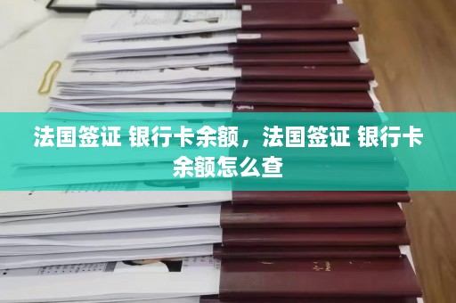 法国签证 银行卡余额，法国签证 银行卡余额怎么查