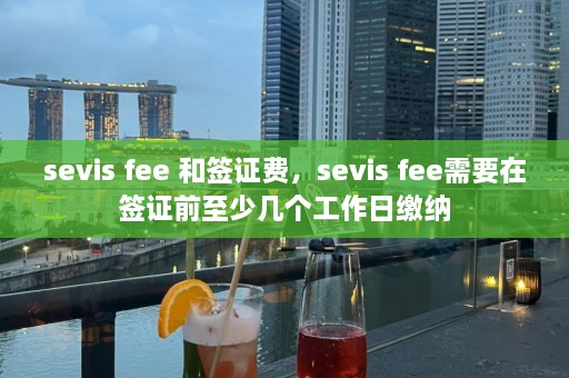 sevis fee 和签证费，sevis fee需要在签证前至少几个工作日缴纳