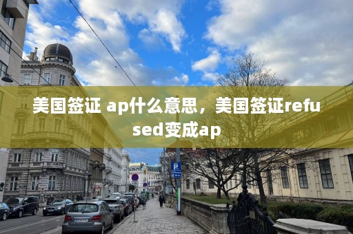 美国签证 ap什么意思，美国签证refused变成ap