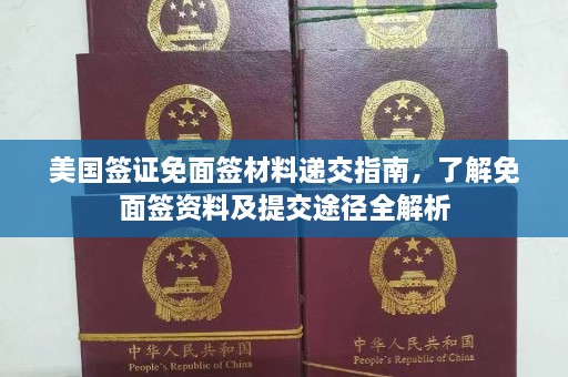 美国签证免面签材料递交指南，了解免面签资料及提交途径全解析