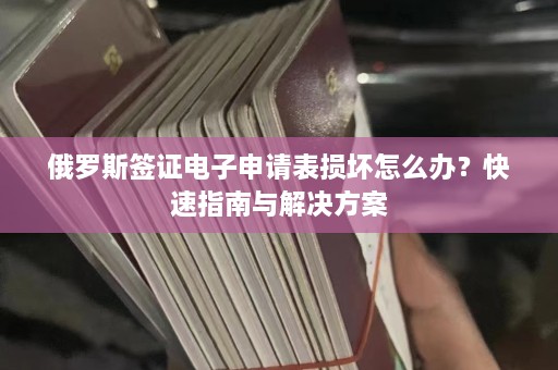 俄罗斯签证电子申请表损坏怎么办？快速指南与解决方案