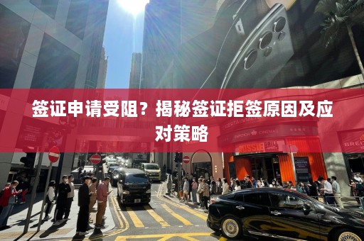 签证申请受阻？揭秘签证拒签原因及应对策略