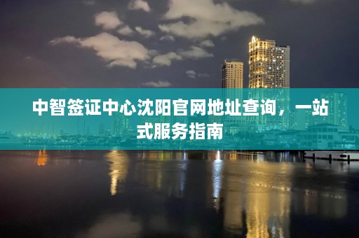 中智签证中心沈阳官网地址查询，一站式服务指南