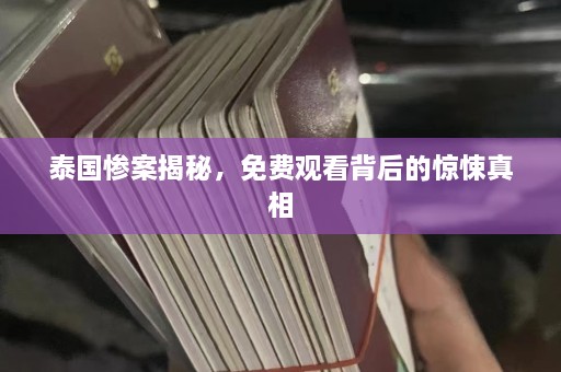 泰国惨案揭秘，免费观看背后的惊悚真相