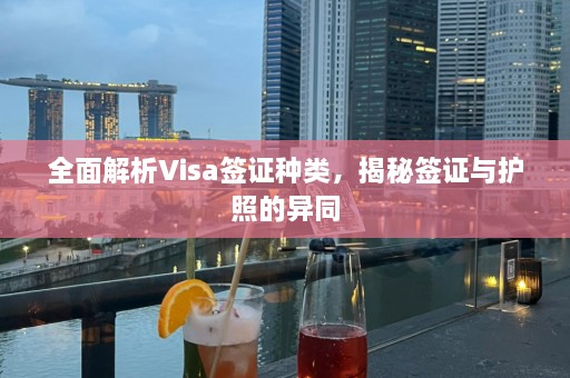 全面解析Visa签证种类，揭秘签证与护照的异同