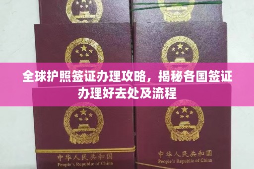 全球护照签证办理攻略，揭秘各国签证办理好去处及流程