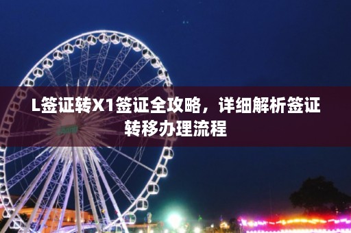 L签证转X1签证全攻略，详细解析签证转移办理流程