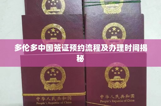 多伦多中国签证预约流程及办理时间揭秘