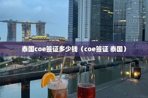 泰国coe签证多少钱（coe签证 泰国）