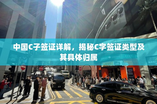 中国C子签证详解，揭秘C字签证类型及其具体归属