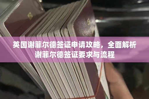 英国谢菲尔德签证申请攻略，全面解析谢菲尔德签证要求与流程