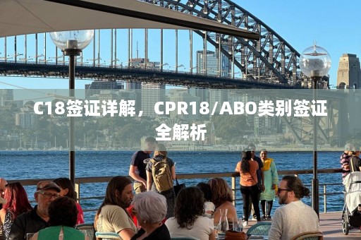 C18签证详解，CPR18/ABO类别签证全解析