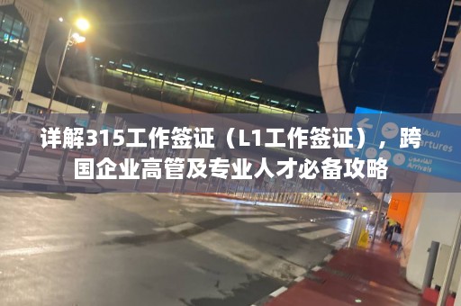 详解315工作签证（L1工作签证），跨国企业高管及专业人才必备攻略