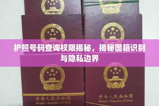 护照 *** 查询权限揭秘，揭秘国籍识别与隐私边界