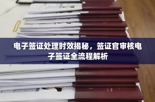 电子签证处理时效揭秘，签证官审核电子签证全流程解析