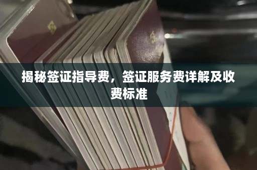 揭秘签证指导费，签证服务费详解及收费标准