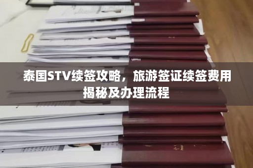 泰国STV续签攻略，旅游签证续签费用揭秘及办理流程