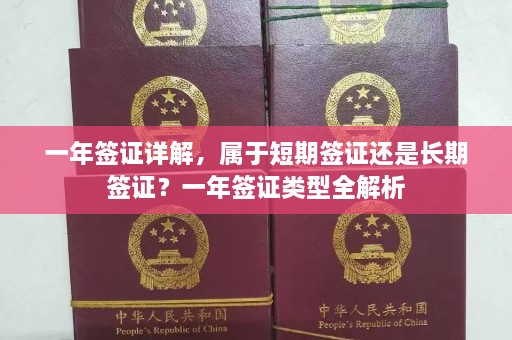 一年签证详解，属于短期签证还是长期签证？一年签证类型全解析