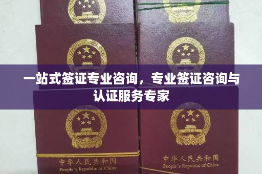 一站式签证专业咨询，专业签证咨询与认证服务专家