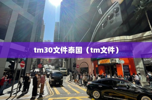 tm30文件泰国（tm文件）  第1张