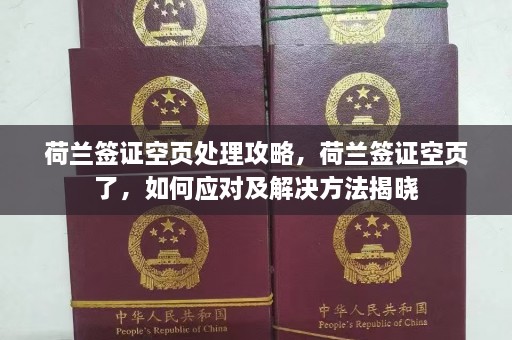 荷兰签证空页处理攻略，荷兰签证空页了，如何应对及解决方法揭晓