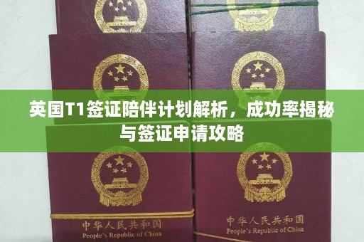 英国T1签证陪伴计划解析，成功率揭秘与签证申请攻略