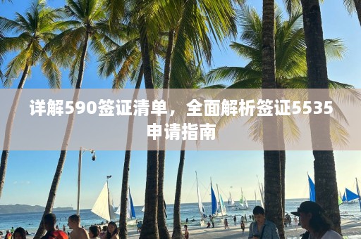 详解590签证清单，全面解析签证5535申请指南