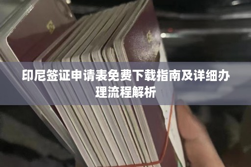 印尼签证申请表免费下载指南及详细办理流程解析