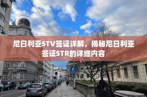 尼日利亚STV签证详解，揭秘尼日利亚签证STR的详细内容