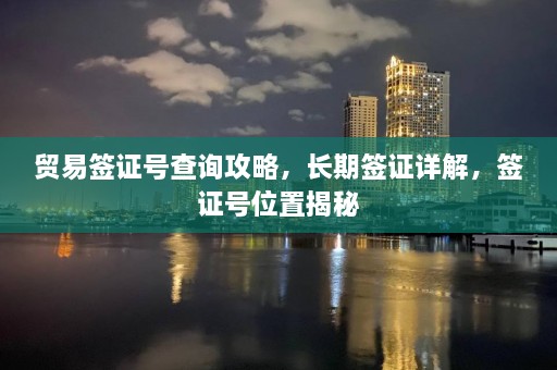 贸易签证号查询攻略，长期签证详解，签证号位置揭秘