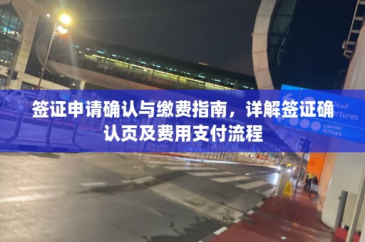 签证申请确认与缴费指南，详解签证确认页及费用支付流程