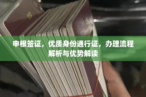 申根签证，优质身份通行证，办理流程解析与优势解读