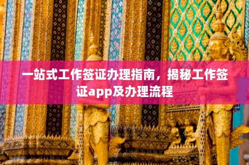 一站式工作签证办理指南，揭秘工作签证app及办理流程