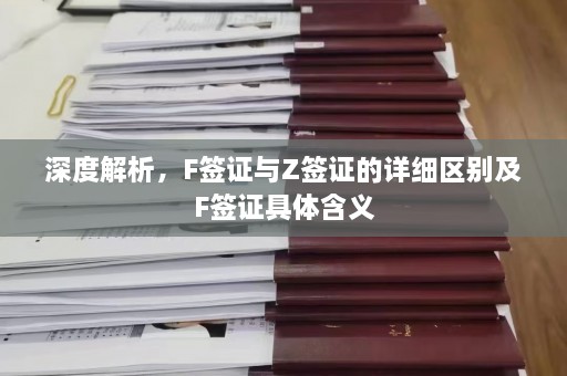 深度解析，F签证与Z签证的详细区别及F签证具体含义