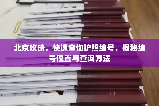 北京攻略，快速查询护照编号，揭秘编号位置与查询方法