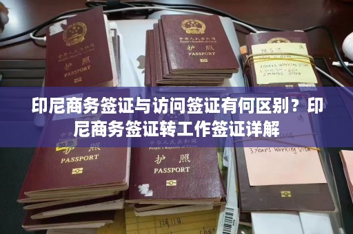 印尼商务签证与访问签证有何区别？印尼商务签证转工作签证详解