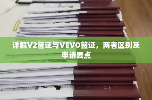 详解V2签证与VEVO签证，两者区别及申请要点