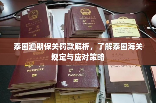 泰国逾期保关罚款解析，了解泰国海关规定与应对策略